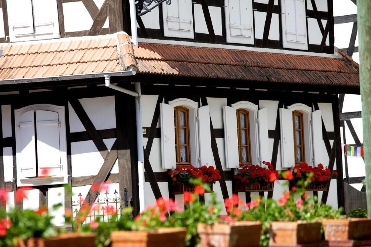 Hunspach Gites Et Chambres D'Hotes Maison Ungerer المظهر الخارجي الصورة