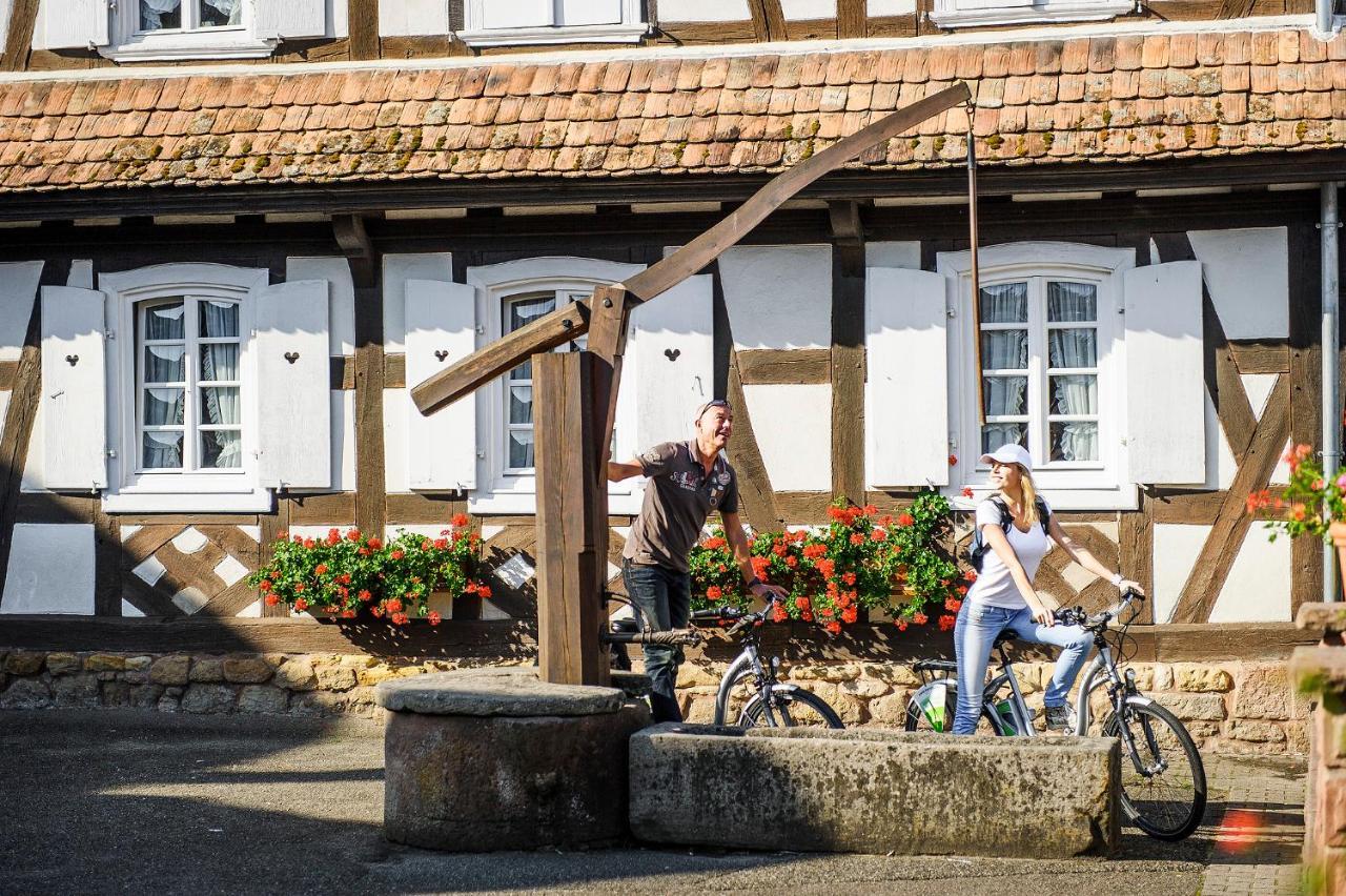 Hunspach Gites Et Chambres D'Hotes Maison Ungerer المظهر الخارجي الصورة