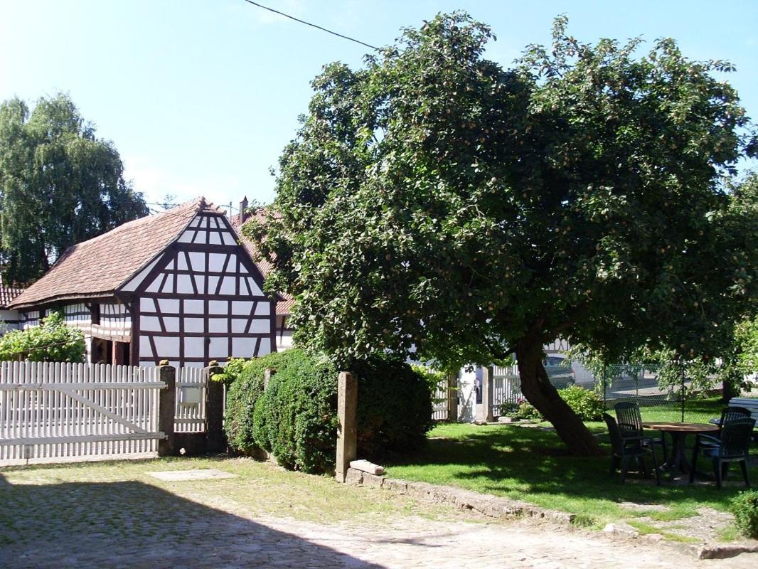 Hunspach Gites Et Chambres D'Hotes Maison Ungerer المظهر الخارجي الصورة