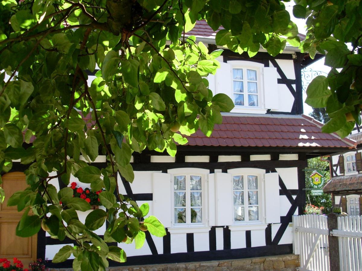 Hunspach Gites Et Chambres D'Hotes Maison Ungerer المظهر الخارجي الصورة
