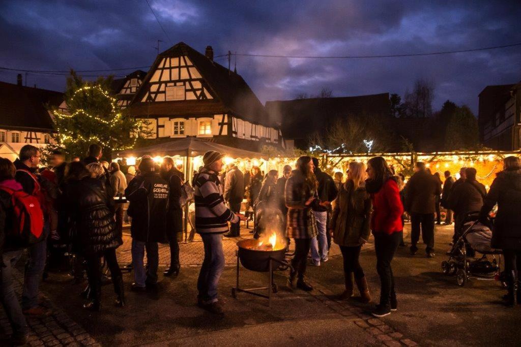 Hunspach Gites Et Chambres D'Hotes Maison Ungerer المظهر الخارجي الصورة
