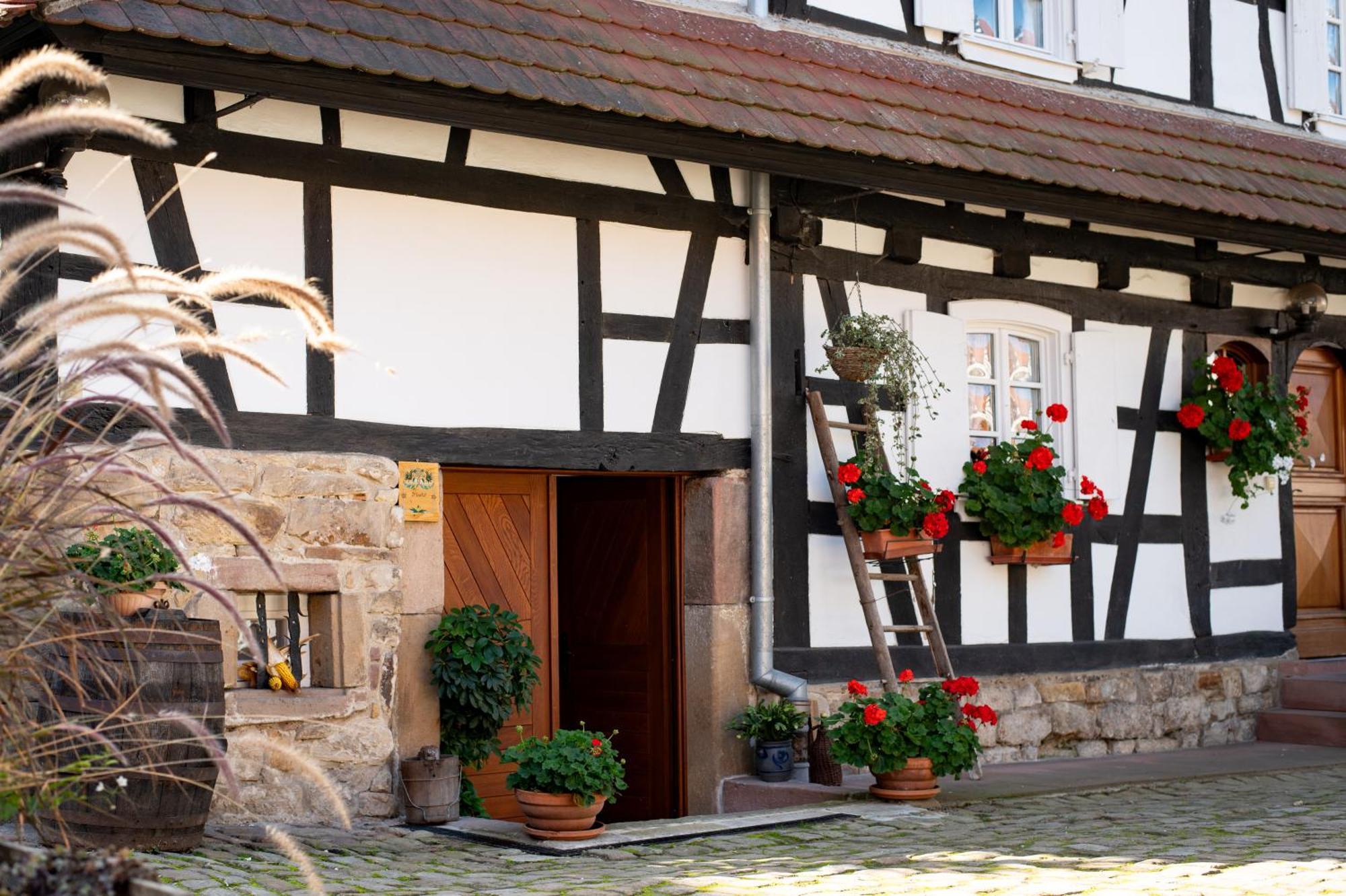 Hunspach Gites Et Chambres D'Hotes Maison Ungerer المظهر الخارجي الصورة