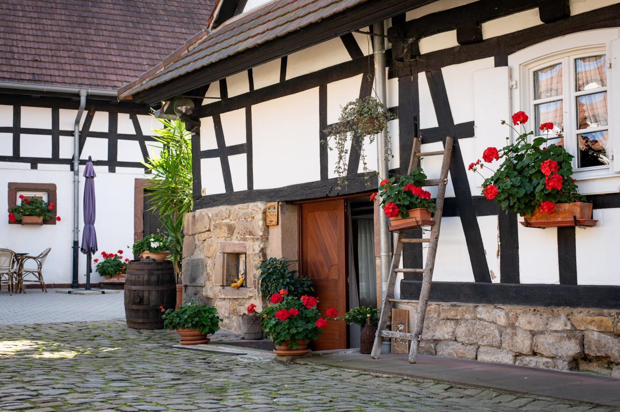 Hunspach Gites Et Chambres D'Hotes Maison Ungerer المظهر الخارجي الصورة